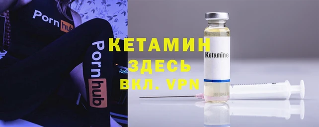 дмт Абаза