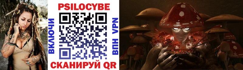 kraken ССЫЛКА  Нижняя Тура  Псилоцибиновые грибы Psilocybine cubensis 